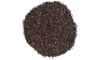 Quinoa Negra