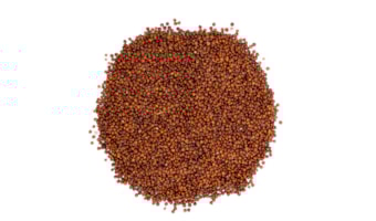 Quinoa Vermelha