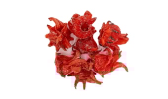 Flor de Hibisco Vermelha